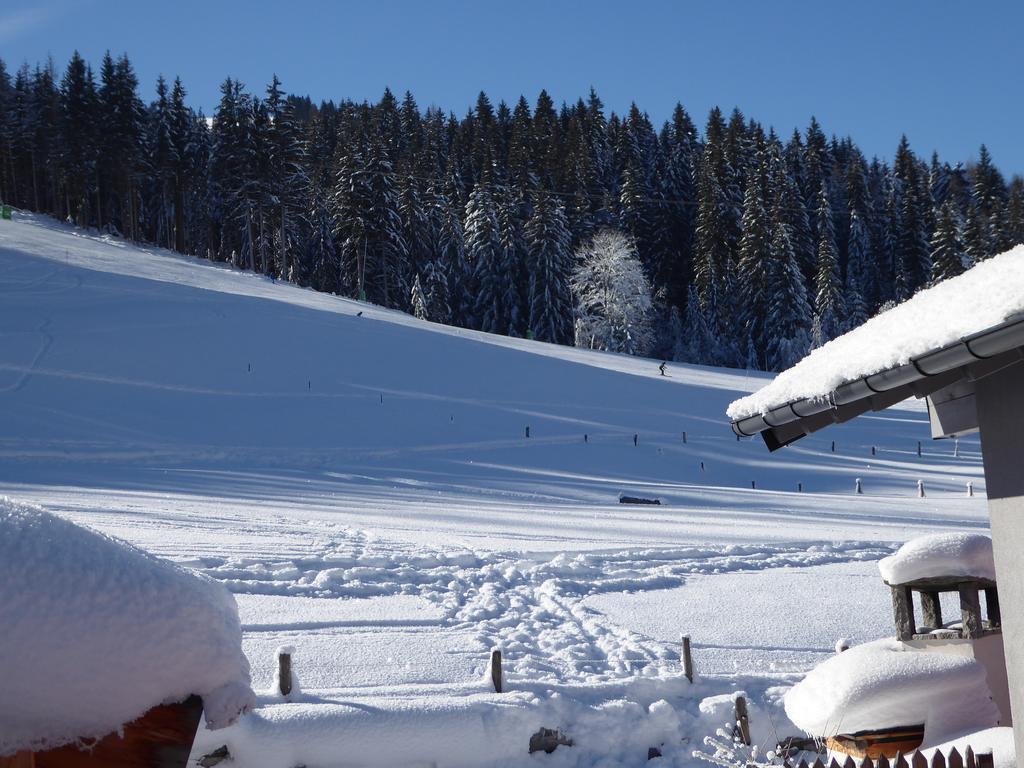 Ferienwohnung Birnhornblick Leogang Exterior foto